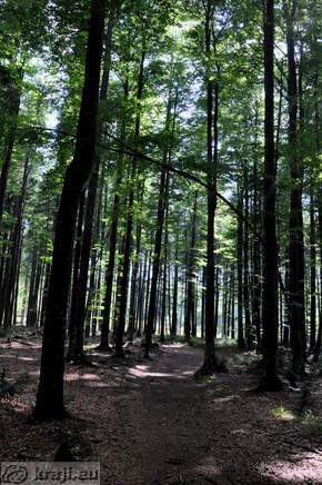 Rundweg zum Ort der letzten Schlacht des Pohorje-Bataillon